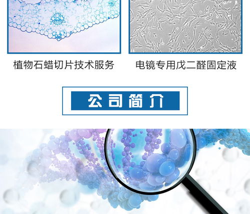 邁斯普 專業(yè)酵母雙雜交技術(shù)服務(wù)可靠推薦商家