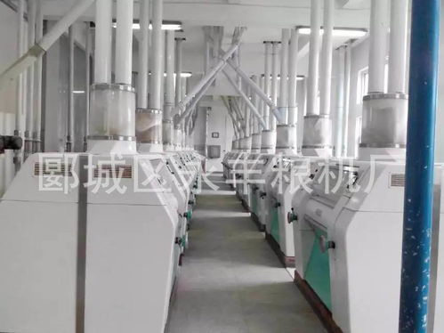 日處理500噸小麥面粉廠 樓房結構成套設備與技術服務的全面解析